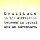 Gratitude is the difference between and ordeal and an adventure