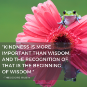 Kindness is more important - BTH